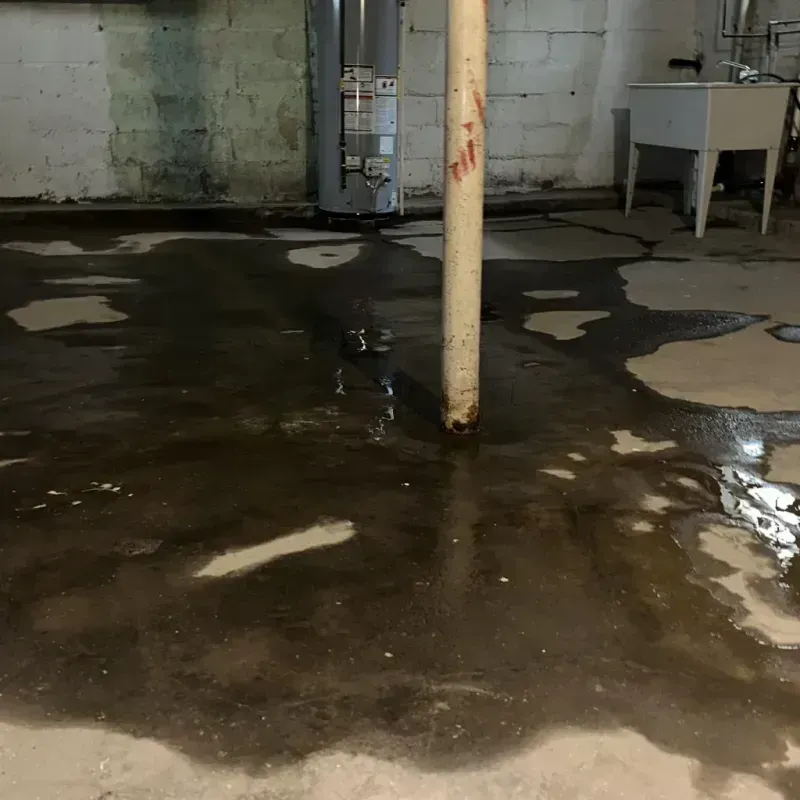 Emergency Water Extraction And Removal in University Center, VA